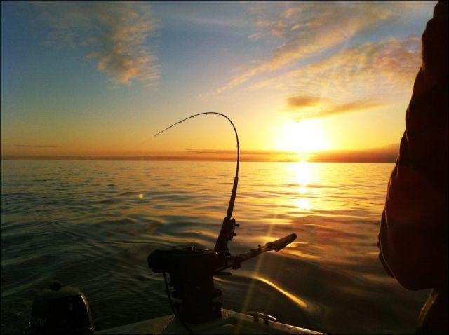 Melhor Vara de Pesca 2025: As Mais Recomendadas 1 image 12